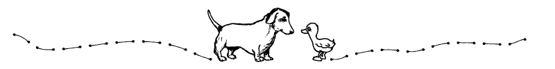 Section divider doodle of dog looking at a duck
