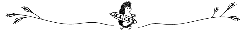 Section divider doodle of hedgehog with a surfboard