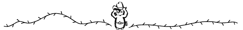 Section divider doodle of hedgehog cowboy
