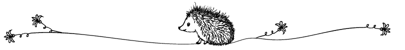 Section divider doodle of hedgehog looking away from flower