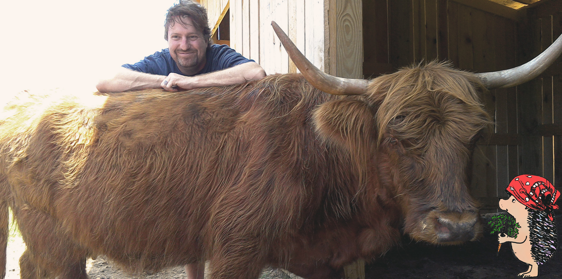 Human pottery assistant lounging with happy cow on the farm at Darn Pottery