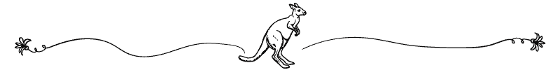 Section divider doodle of a kangaroo
